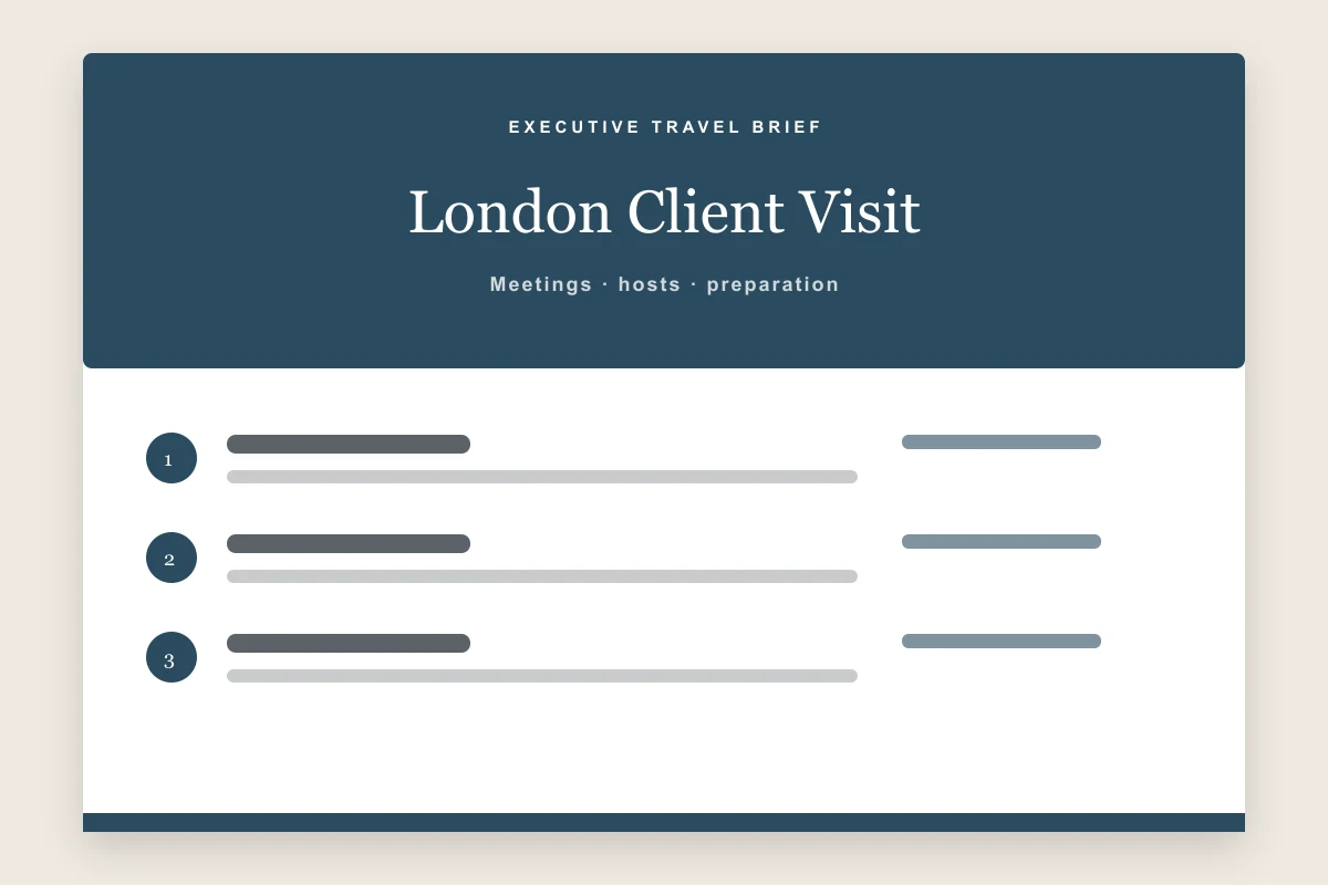 Business travel itinerary template preview with executive summary, meeting time, location, host, and preparation notes
